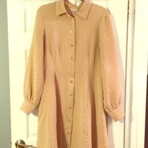 Woman’s Polka dot long sleeve button down dress 14